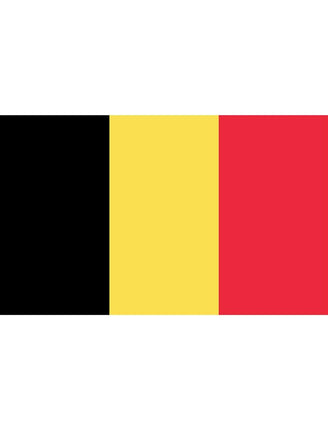 Feestbazaar België Vlag Groot (150x300cm)