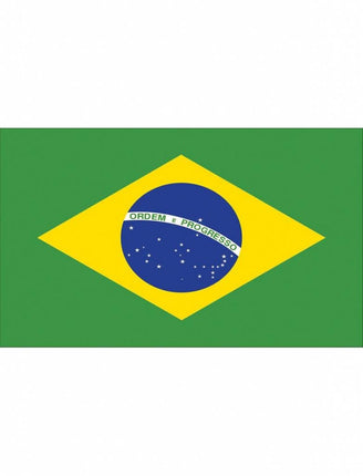 Feestbazaar Braziliaanse vlag 90x150cm