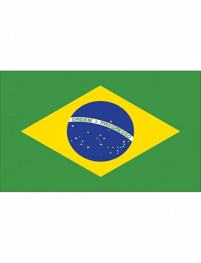 Feestbazaar Braziliaanse vlag 90x150cm