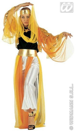 Feestbazaar Geklede Harem danseres luxe