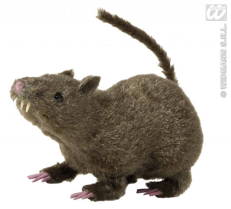 Feestbazaar Harige rat 21cm