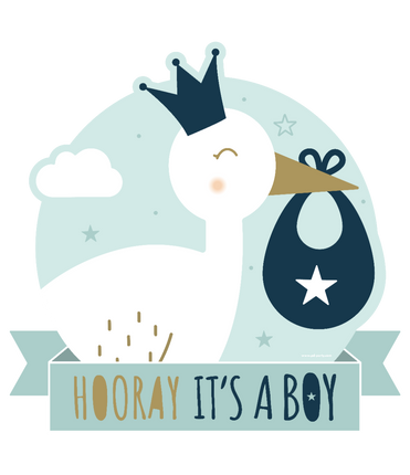 Feestbazaar Huldeschild Hooray It's a Boy (50x50cm)