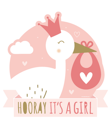 Feestbazaar Huldeschild Hooray It's a Girl (50x50cm)