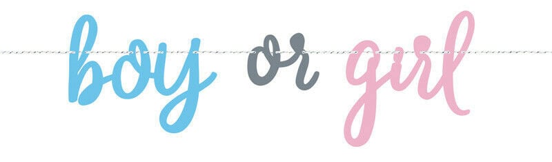 Feestbazaar Letterslinger Gender Reveal 'Boy or Girl' (213cm)