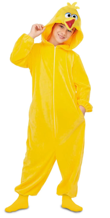 Feestbazaar Pino Onesie Kostuum Kind