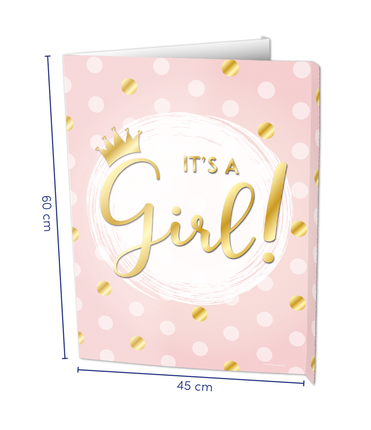 Feestbazaar Raambord It's A Girl! (60x45cm)