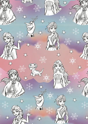 Feestbazaar Rol Cadeaupapier Frozen getekend