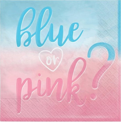 Feestbazaar Servetten Gender Reveal 'Blue Or Pink' (16st)