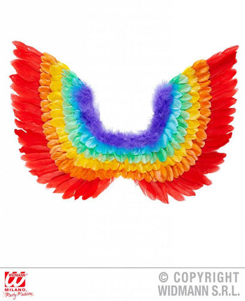Feestbazaar Veren vleugels regenboog 60cm
