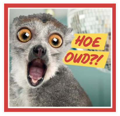 Feestbazaar Verjaardagskaart 'Hoe Oud?!'