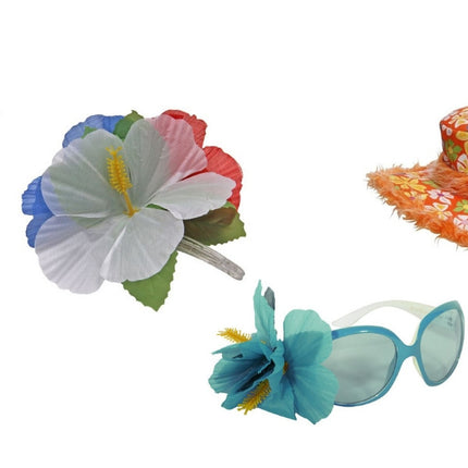 Alle accessoires hawaii