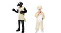 Schaap