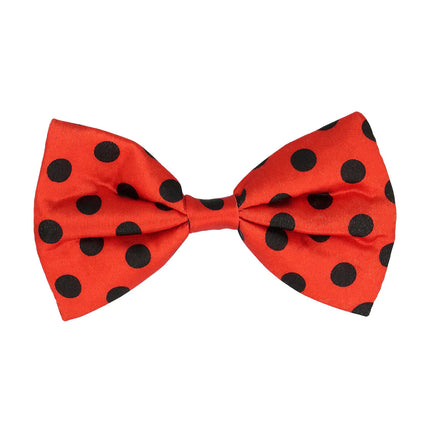 Feestbazaar Accessoireset Lieveheersbeestje