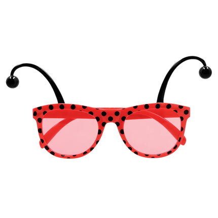 Feestbazaar Accessoireset Lieveheersbeestje