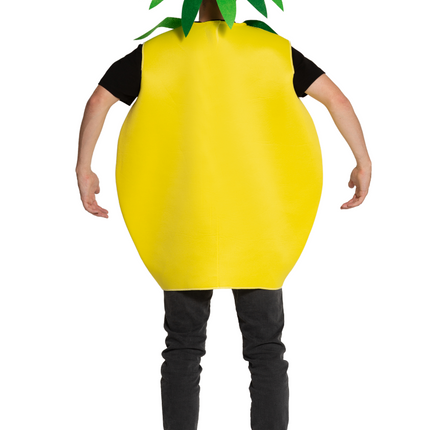 Feestbazaar Ananas Kostuum Foam