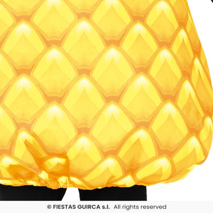 Feestbazaar Ananas Kostuum Kind
