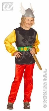 Feestbazaar Asterix pak kind Havard