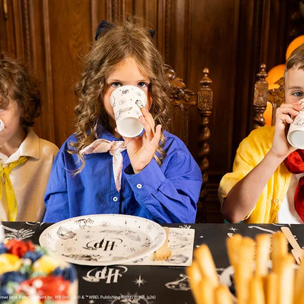 Feestbazaar Bekers Harry Potter Magische Illustraties (6st)