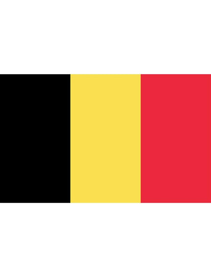 Feestbazaar België Vlag Groot (150x300cm)