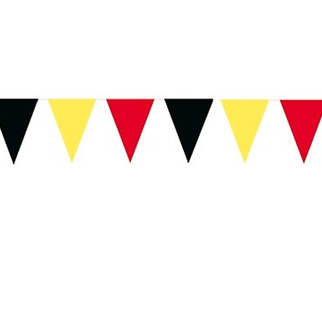 Feestbazaar Belgische Vlaggenlijn 10 meter