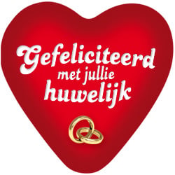 Feestbazaar Big Sign Bord Gefeliciteerd Huwelijk