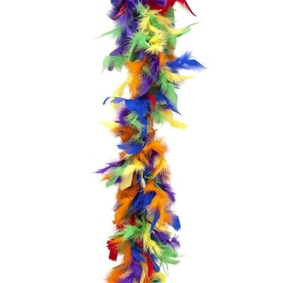 Feestbazaar Boa multi color 45gr