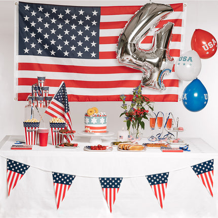 Feestbazaar Borden USA - 10 Stuks