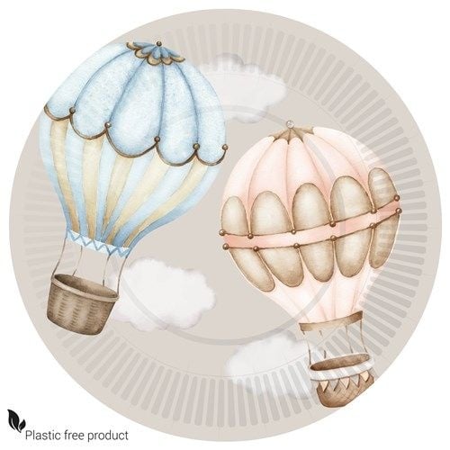 Feestbazaar Bordjes  Gender Reveal Luchtballon Classic (8st)