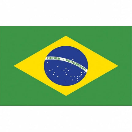 Feestbazaar Braziliaanse vlag 90x150cm