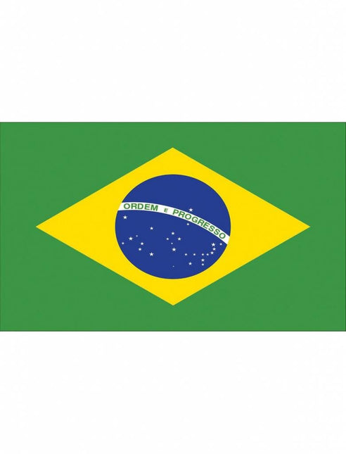 Feestbazaar Braziliaanse vlag 90x150cm