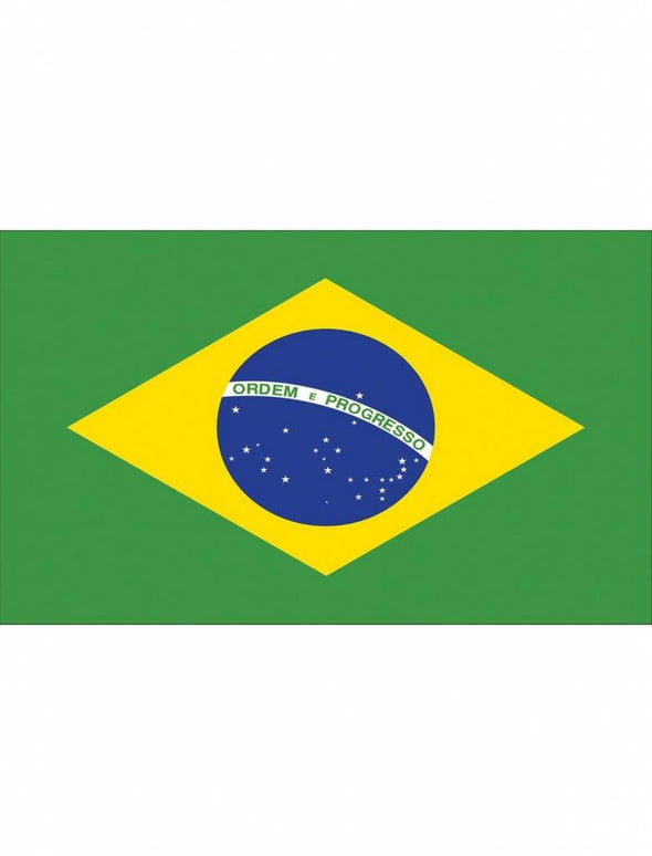 Feestbazaar Braziliaanse vlag 90x150cm