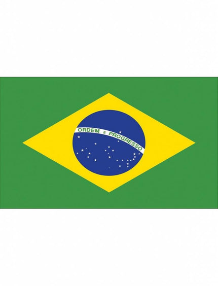 Feestbazaar Braziliaanse vlag 90x150cm