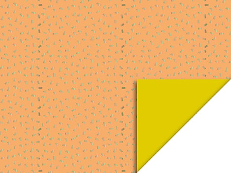 Feestbazaar Cadeaupapier Dubbelzijdig Confetti Oranje/Geel
