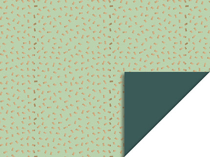 Feestbazaar Cadeaupapier Dubbelzijdig Confetti Pistache/Groen