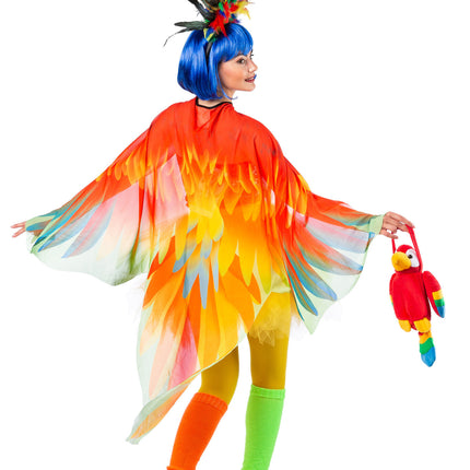 Feestbazaar Cape Papegaai Kleurrijk