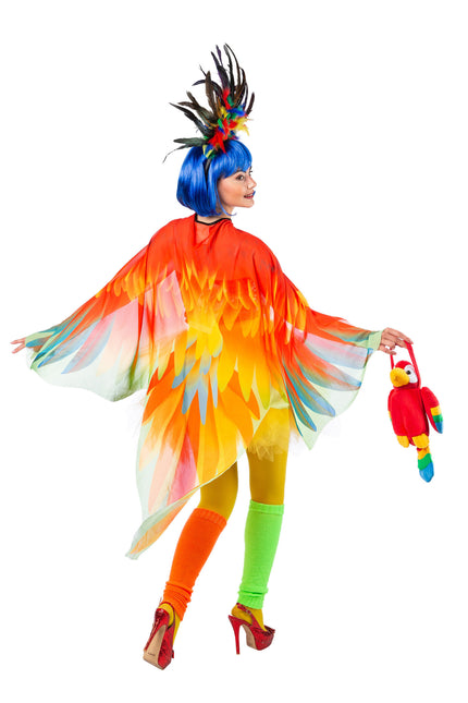 Feestbazaar Cape Papegaai Kleurrijk