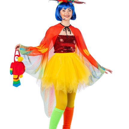 Feestbazaar Cape Papegaai Kleurrijk