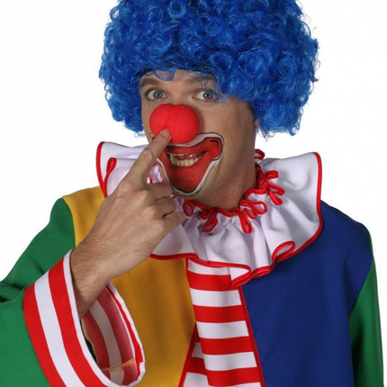 Feestbazaar Clownspruik blauw