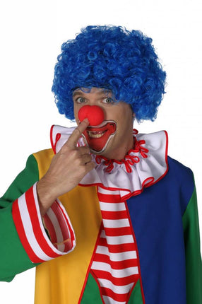 Feestbazaar Clownspruik blauw