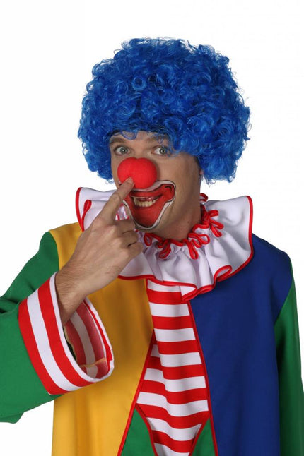 Feestbazaar Clownspruik blauw