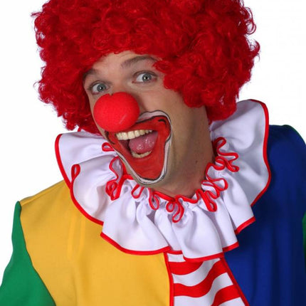 Feestbazaar Clownspruik rood