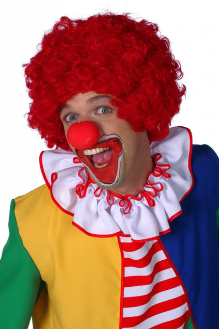 Feestbazaar Clownspruik rood
