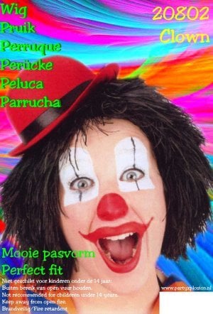 Feestbazaar Clownspruik zwart