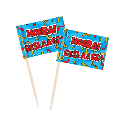 Feestbazaar Cocktailprikkers Hoera Geslaagd Cartoon (50st)