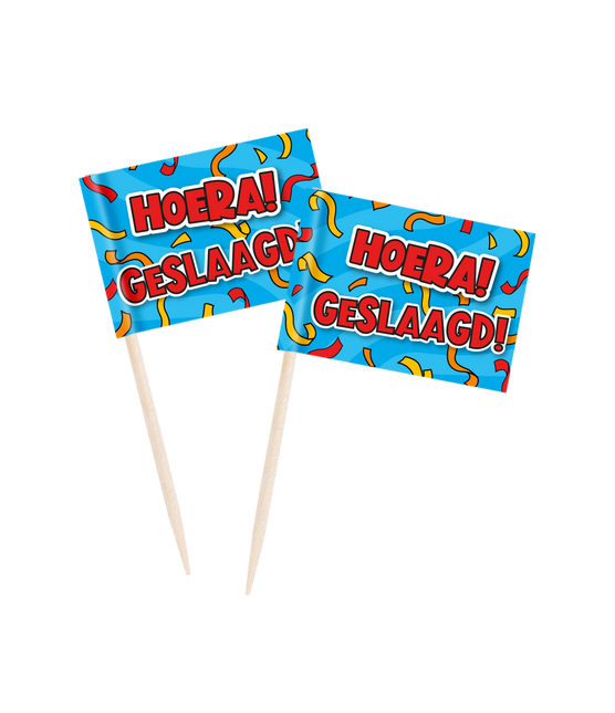 Feestbazaar Cocktailprikkers Hoera Geslaagd Cartoon (50st)