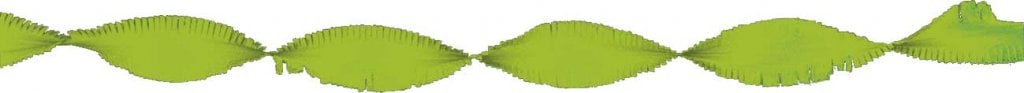 Feestbazaar Crepe papier slinger lichtgroen 6 meter