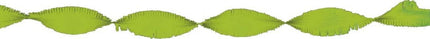 Feestbazaar Crepe papier slinger lichtgroen 6 meter