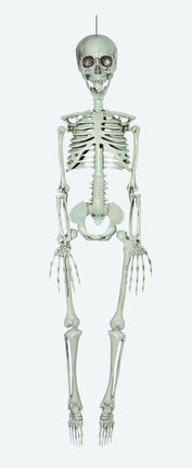 Feestbazaar Deco Skelet 90cm