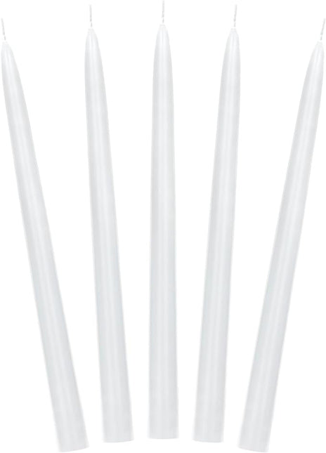 Feestbazaar Dinerkaarsen Parelmoer Metallic 24cm (10st)