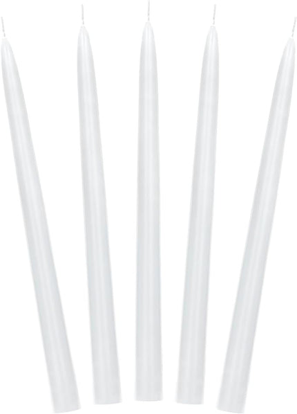 Feestbazaar Dinerkaarsen Parelmoer Metallic 24cm (10st)